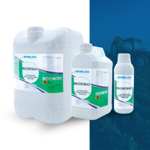 Enelsa Tarım Magnemax
