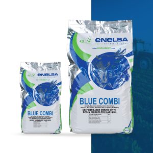 BLUE COMBI