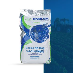 ENELSA NK-MAG